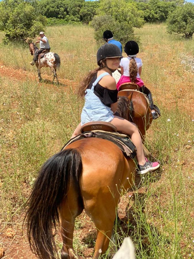 The Riders' Experience - Glamping And Attractions Park- Full Board * Beit Oren